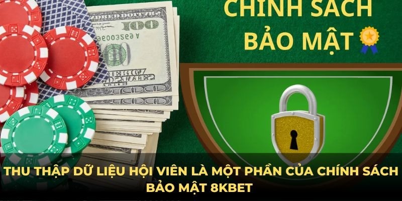 Chính sách bảo mật 8KBET: Những quy định bảo vệ người chơi 3 Thu thập thông tin khách hàng